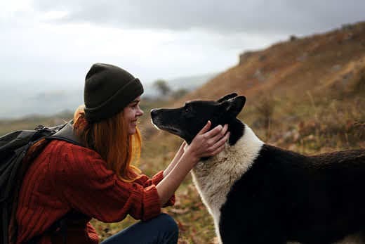 Woman talking to a dog in nature Woman talking to a dog in nature