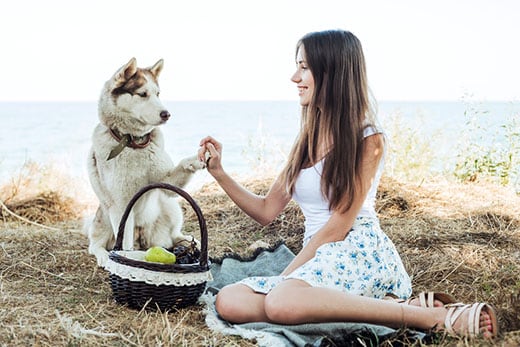 siberian-huksy-and-young-woman-on-picnic-SW Young woman holding Red Siberian husky