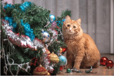 the-trouble-with-cats-and-christmas-trees yellow cat next to fallen christmas tree