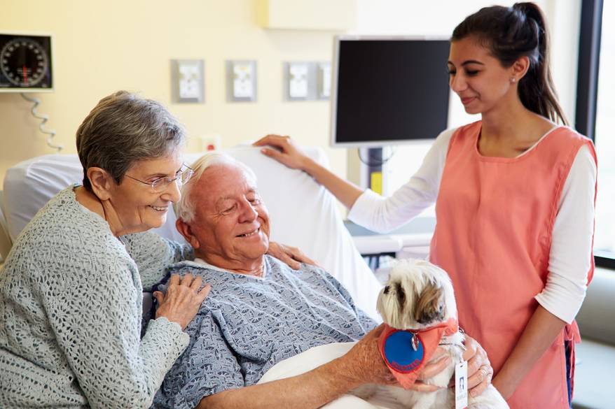 Shih Tzu sits in hospital bed with a man, while his wife and nurse look on smiling.