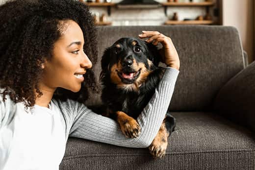 woman-on-ground-pets-dog-on-couch-SW Woman sitting on the ground pets a dog's head sitting on the couch.