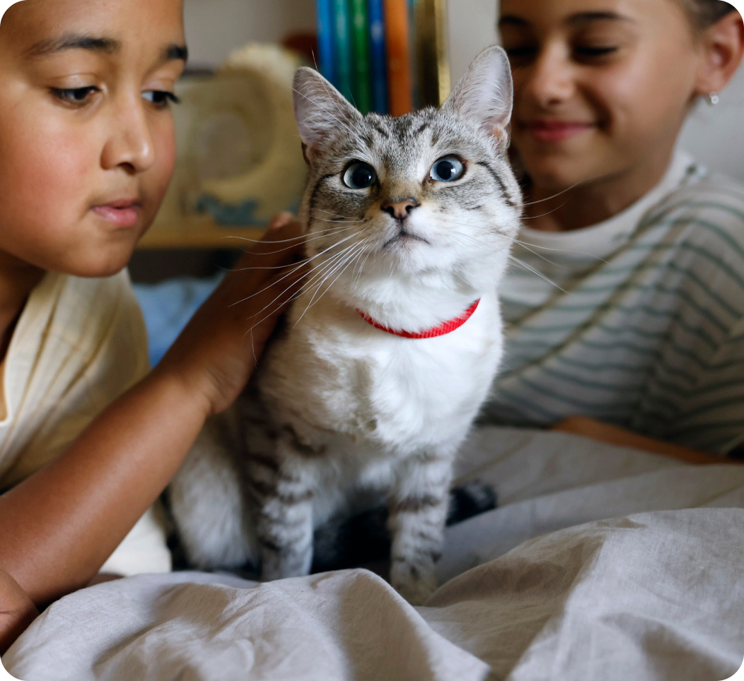 Enfants flattant un chat
