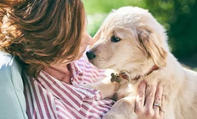 Femme tenant dans ses bras un chiot golden retriever